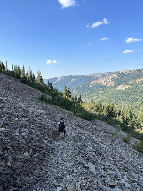 A hiker ascends a rocky slope surrounded by trees and mountains under a clear blue sky.