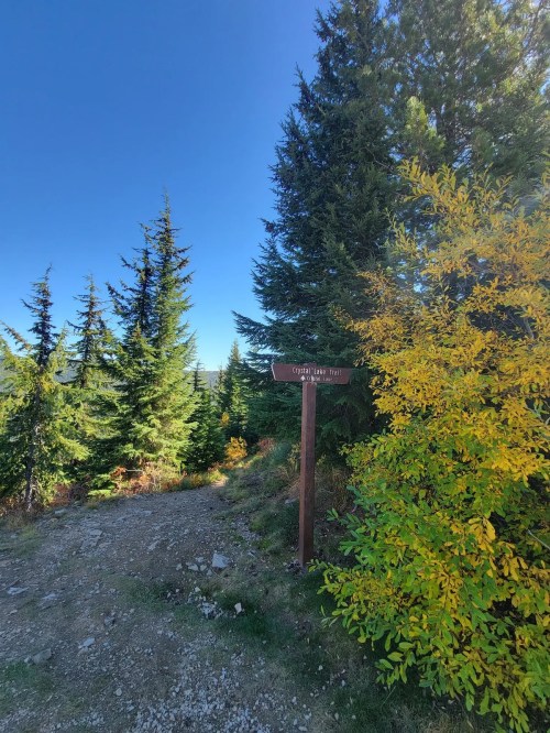 A trail sign for "Owl's Head Trail" surrounded by tall evergreen trees and autumn foliage under a clear blue sky.