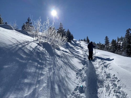 A person walks a snowy trail under a bright sun, surrounded by trees and glistening frost.