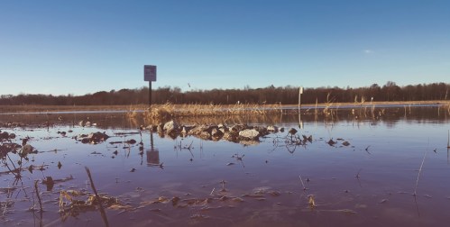 A flooded area with standing water, rocks, and tall grass under a clear blue sky, featuring a warning sign in the background.