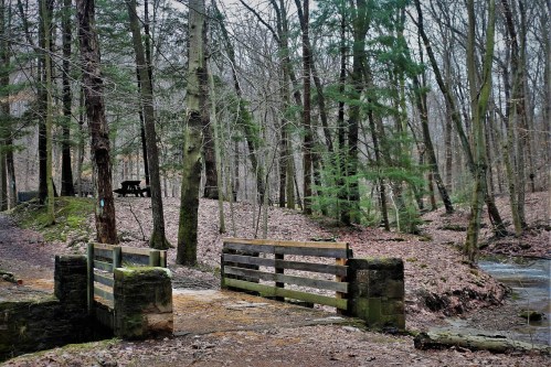 A wooden bridge over a stream in a forest with bare trees and scattered leaves on the ground.