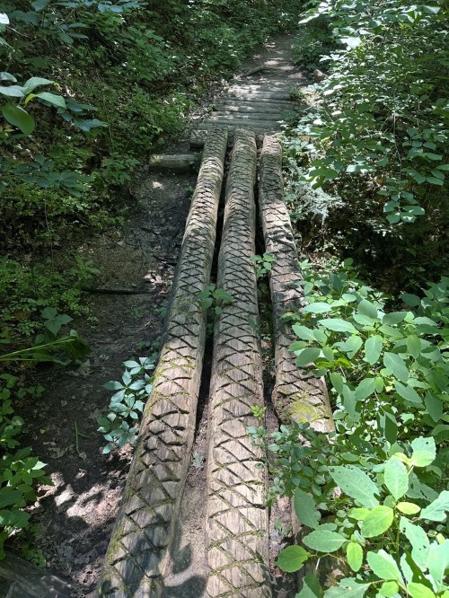 Three carved wooden logs form a bridge over a path surrounded by lush green foliage and trees.