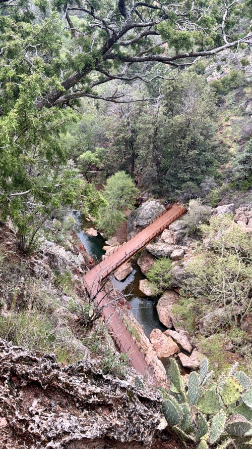 A wooden bridge crosses a rocky stream surrounded by lush greenery and trees in a natural landscape.