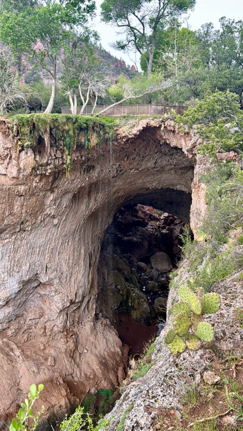 A natural stone archway surrounded by greenery and rocky terrain, with a glimpse of water below.