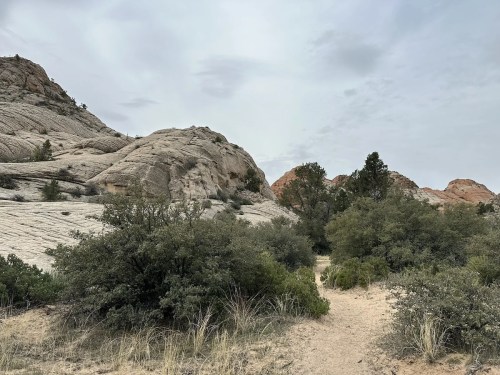 A rocky landscape with smooth, layered hills and sparse vegetation under a cloudy sky. A sandy path winds through the scene.
