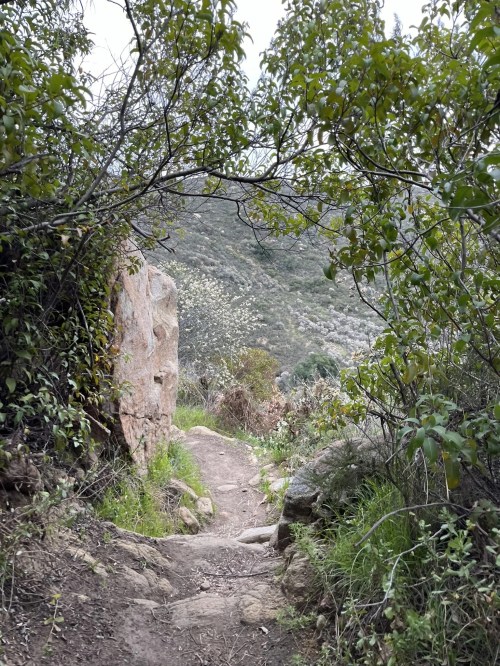 A narrow dirt path winds through lush greenery and rocky terrain, leading into a scenic mountainous area.
