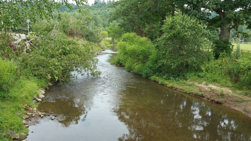 A serene river flows through a lush green landscape, surrounded by trees and reflecting the sky above.