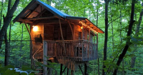 Rustic multi-level wooden treehouse glowing with warm string lights among tall green trees.