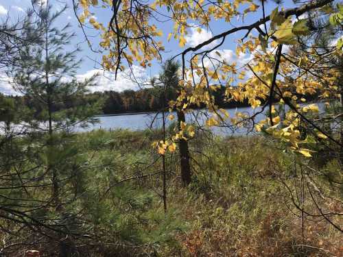 A serene lake surrounded by trees with autumn leaves, under a bright blue sky with fluffy clouds.