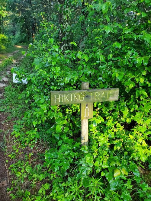 A wooden sign reading "Hiking Trail" points the way along a lush, green path surrounded by foliage.