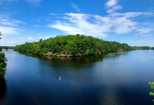 A serene river scene with lush green trees lining the banks and a small island under a bright blue sky.