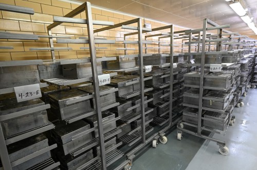 Metal racks filled with trays, organized in a well-lit industrial space.