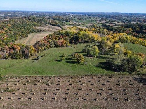 Aerial view of a rural landscape with fields, trees in autumn colors, and hay bales arranged in rows.