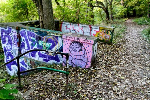 A wooded path with colorful graffiti on stone walls and fallen leaves scattered on the ground.