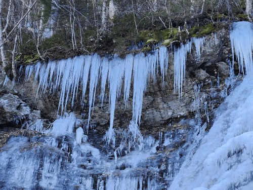 Icicles hang from a rocky cliff, surrounded by moss and trees, with a frozen waterfall below.