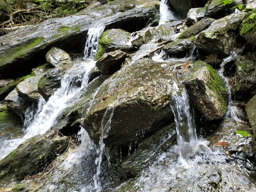A serene stream flows over moss-covered rocks in a lush, green forest.