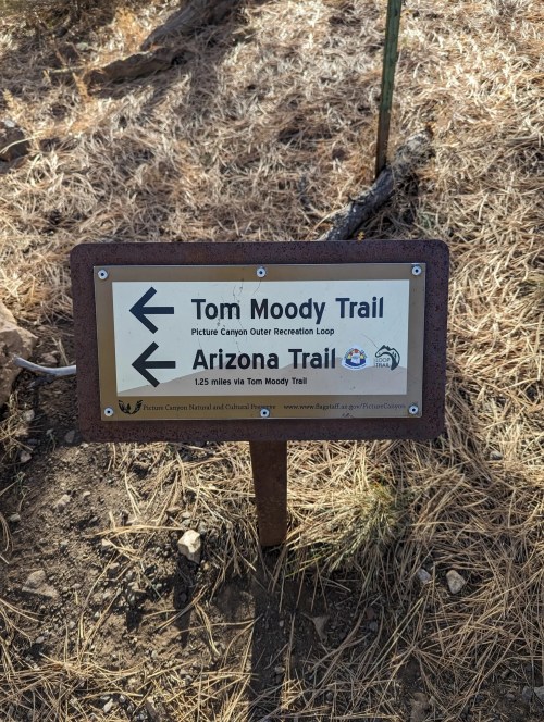 Signpost indicating directions for Tom Moody Trail and Arizona Trail, with distances and park information.
