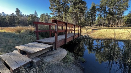A wooden bridge spans a calm stream, surrounded by tall grass and pine trees under a clear blue sky.