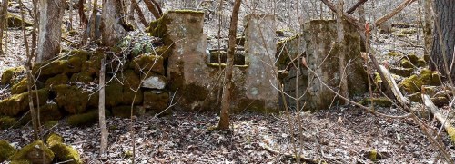 Ruins of a weathered stone structure covered in moss, surrounded by trees and underbrush in a forested area.