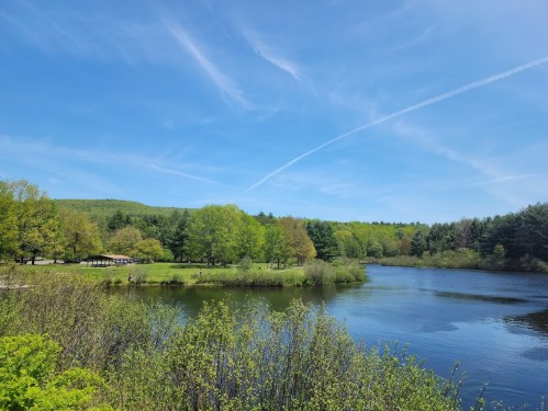 A serene lake surrounded by lush green trees under a clear blue sky with wispy clouds.