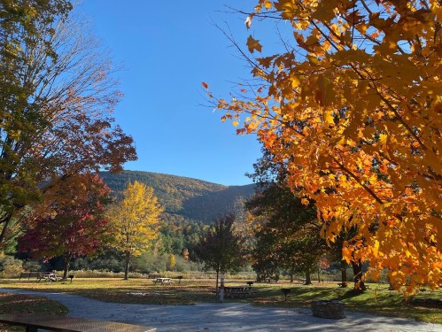 A scenic view of a park in autumn, featuring colorful trees and a clear blue sky with mountains in the background.