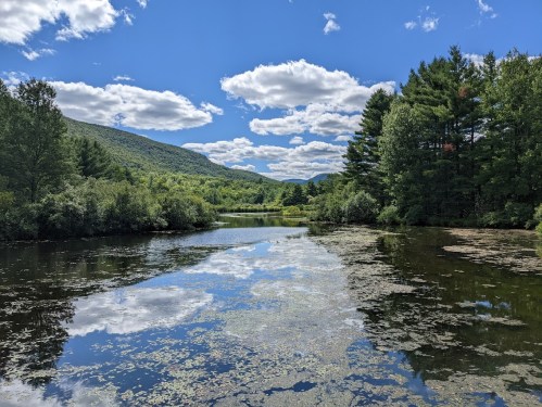A serene landscape featuring a calm pond, lush greenery, and fluffy clouds reflecting in the water under a blue sky.