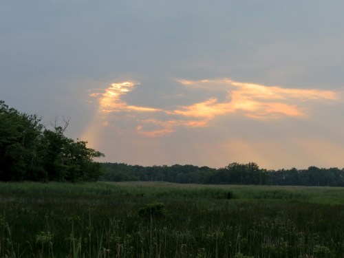A serene landscape featuring a grassy field under a cloudy sky with rays of sunlight breaking through the clouds.