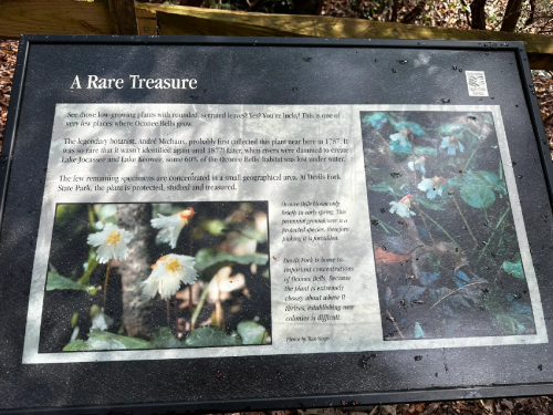 Sign about rare plants in Catoctin Mountain Park, detailing their history and conservation efforts.