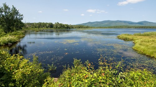 A serene lake surrounded by lush greenery and distant mountains under a clear blue sky.