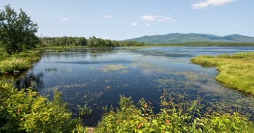 A serene lake surrounded by lush greenery and distant mountains under a clear blue sky.