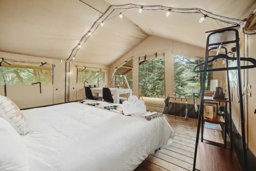 Cozy glamping tent interior with a bed, desk, and natural light from large windows overlooking a forest.
