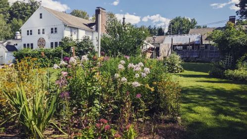 A vibrant garden filled with flowers in front of a white house and a rustic shed under a clear blue sky.