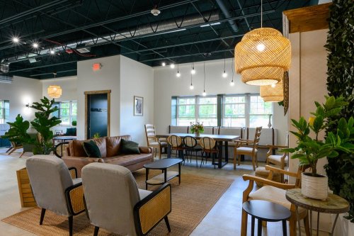 A modern, stylish interior featuring cozy seating, plants, and decorative lighting in a bright, open space.