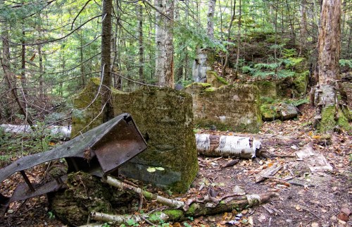 Overgrown ruins in a forest, featuring moss-covered stone structures and remnants of metal machinery among trees.