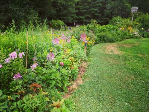 A vibrant garden with colorful flowers and lush greenery, bordered by a grassy path and trees in the background.