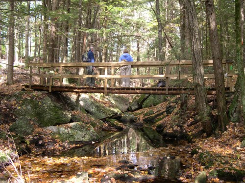 Two people stand on a wooden bridge over a small stream in a forested area with rocks and autumn leaves.