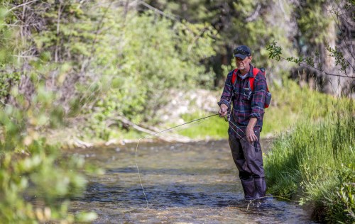A man stands in a stream, fishing with a fly rod, surrounded by lush greenery and trees.