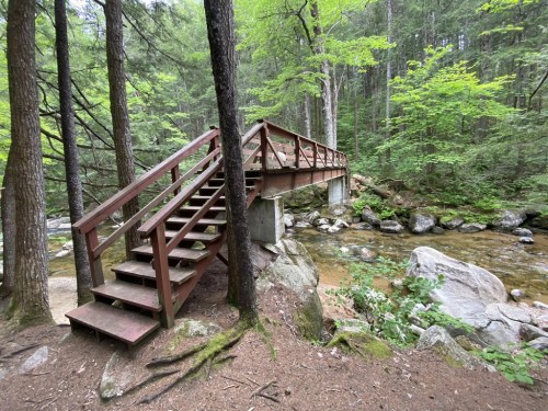 A wooden bridge with stairs crosses a stream, surrounded by lush green trees and rocky terrain.
