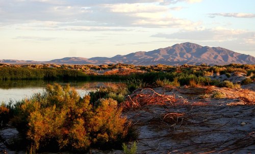 A serene landscape featuring a calm water body, lush vegetation, and distant mountains under a partly cloudy sky.