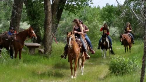 A group of people riding horses along a grassy trail surrounded by trees.