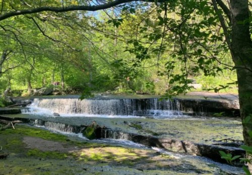 A serene waterfall surrounded by lush greenery and trees, with sunlight filtering through the leaves.