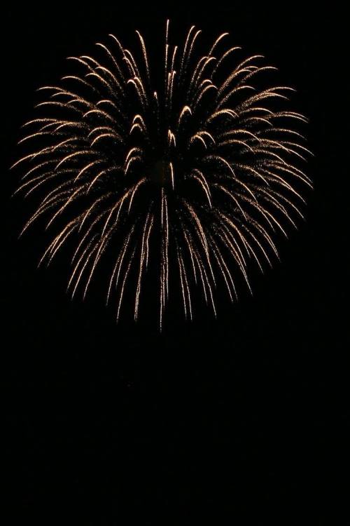 A vibrant firework bursts in the night sky, displaying golden trails against a dark background.