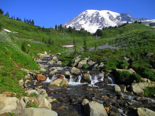 A serene mountain landscape featuring a stream, rocky terrain, and a snow-capped peak under a clear blue sky.