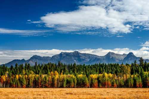 A panoramic view of mountains with a vibrant forest in autumn colors under a blue sky with scattered clouds.