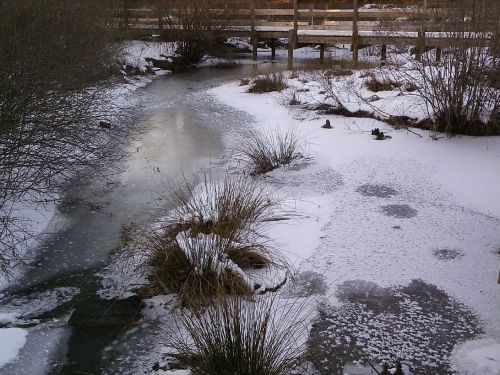 A snowy landscape with a partially frozen stream, surrounded by grass and shrubs, and a wooden bridge in the background.