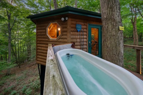 A treehouse with a water slide leading into a small pool, surrounded by lush green trees.