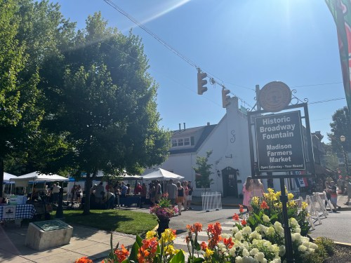 A sunny day at the Madison Farmers Market, with tents, people, and vibrant flowers in the foreground.
