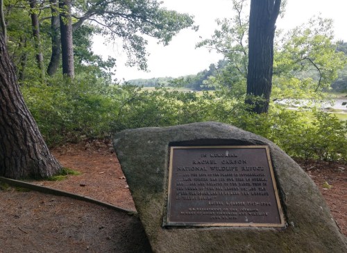 A plaque on a large rock in a wooded area, overlooking a serene river and lush greenery.
