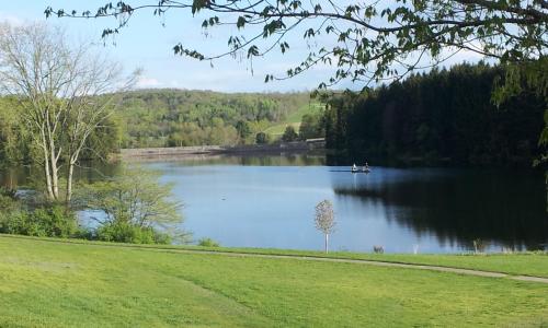 A serene lake surrounded by greenery, with a small boat on the water and hills in the background.