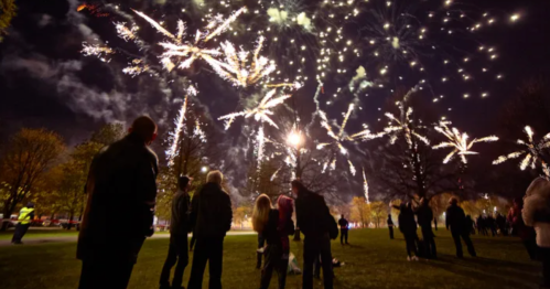 A crowd watches a vibrant fireworks display lighting up the night sky over a park.